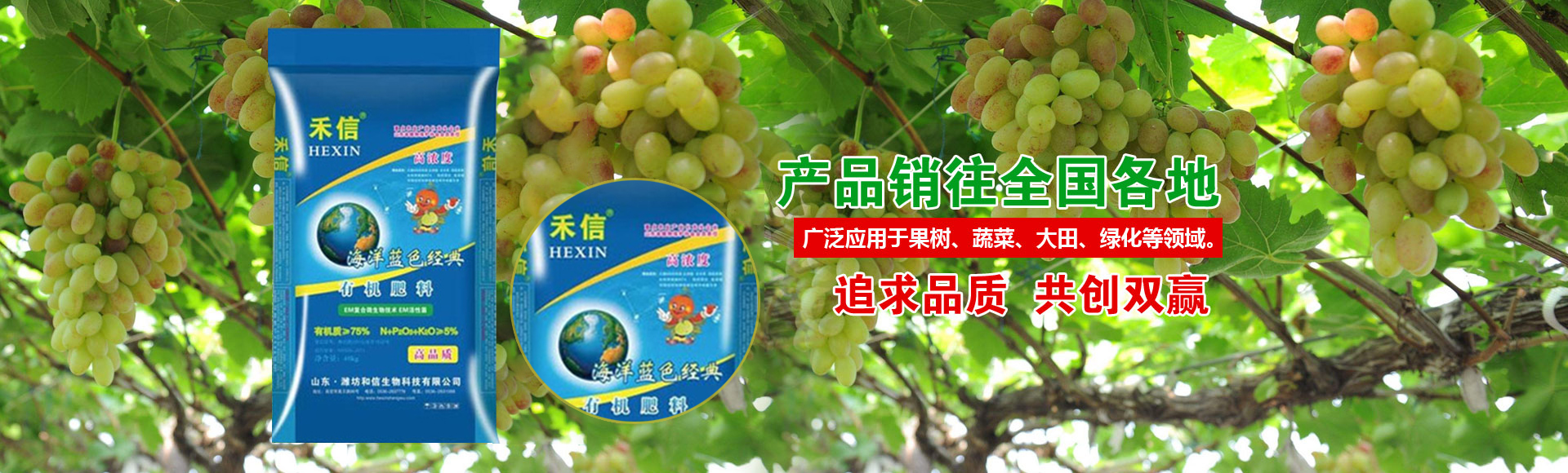 鄒城市高宗智智能溫室技術(shù)有限公司